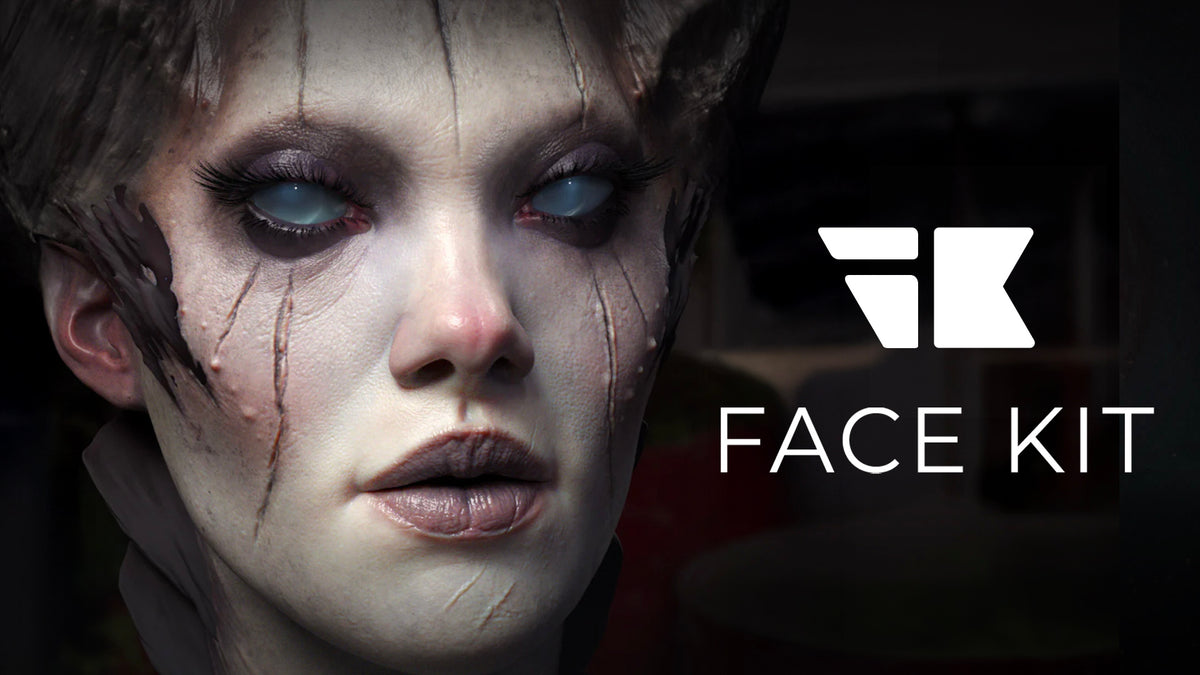 FlippedNormals Face Kit