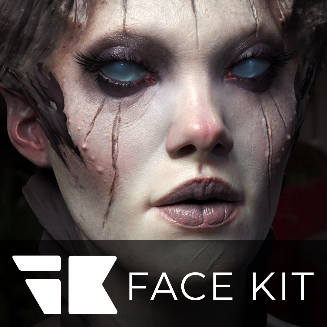 FlippedNormals Face Kit