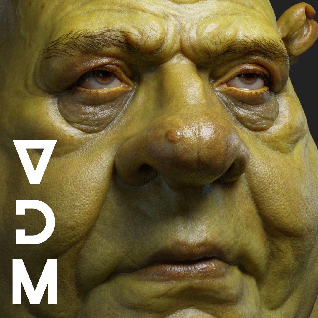 FlippedNormals Face VDMs