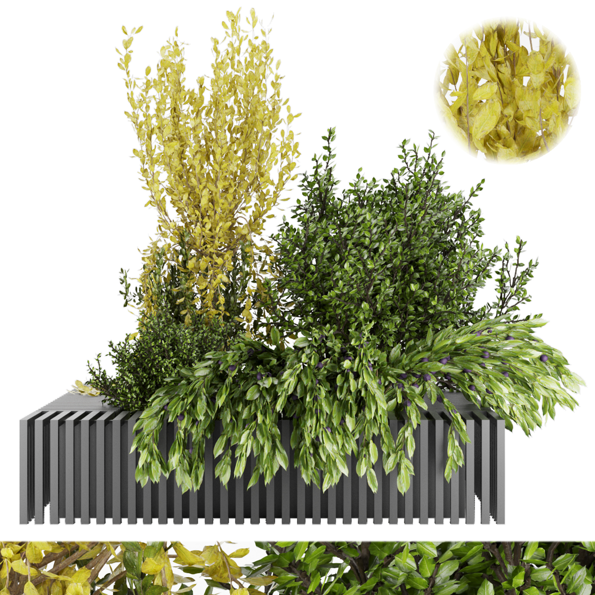 Product banner image