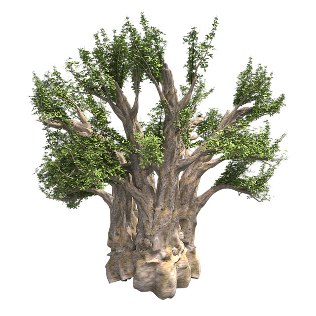 Product banner image