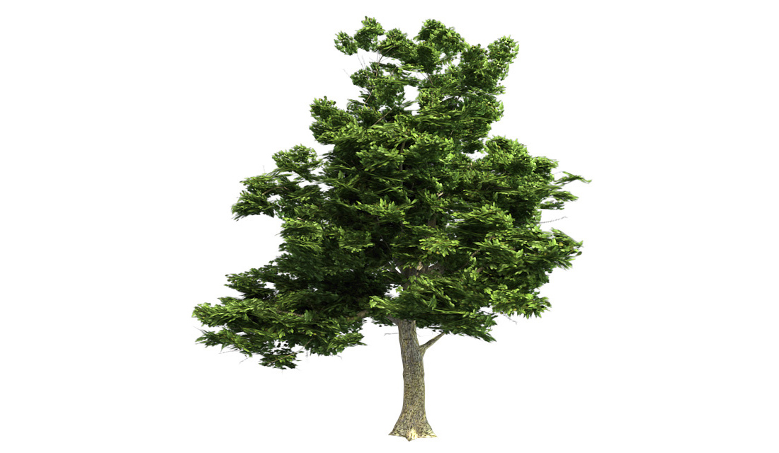 Product banner image