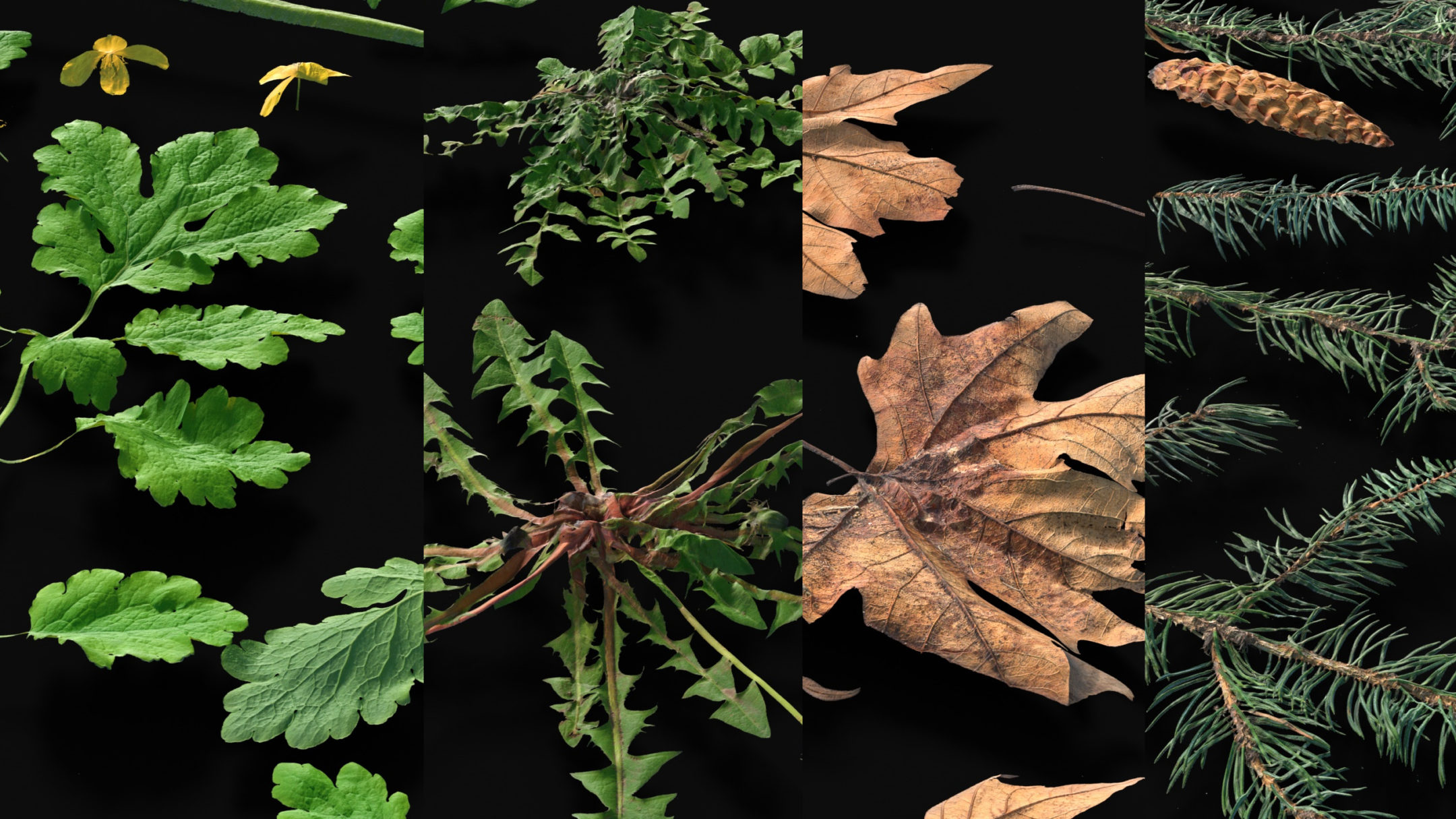 Product banner image