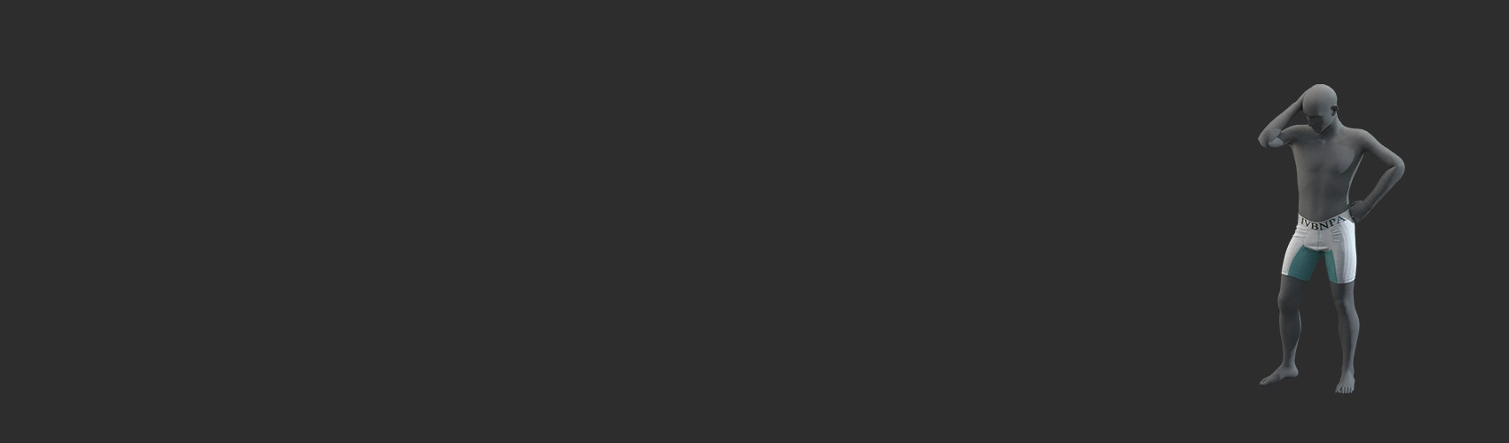 Product banner image