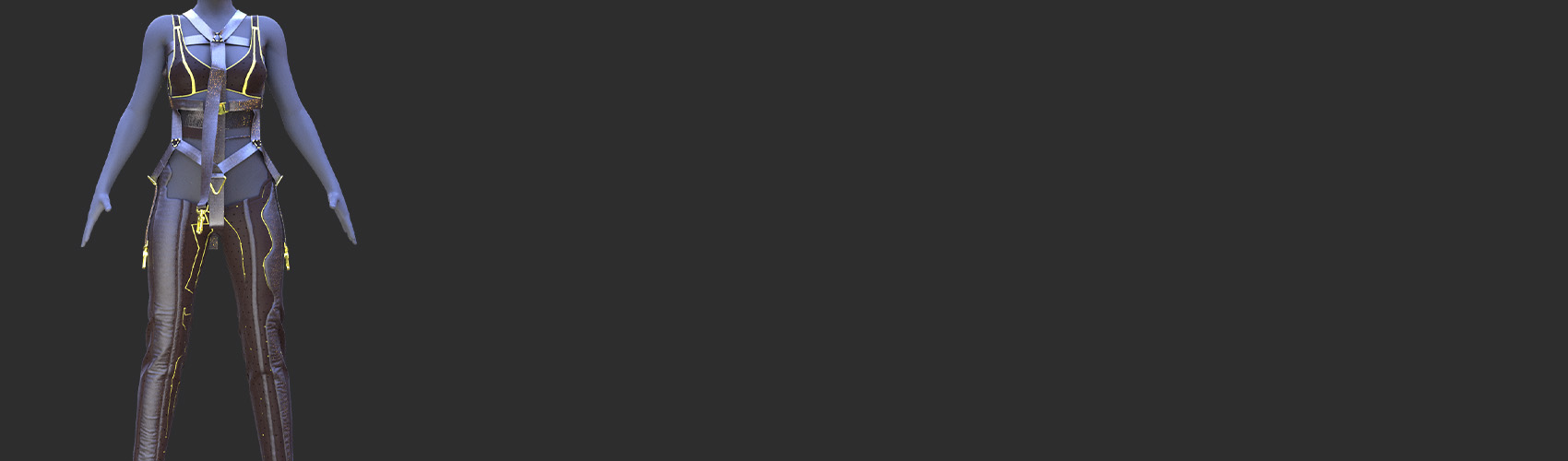 Product banner image