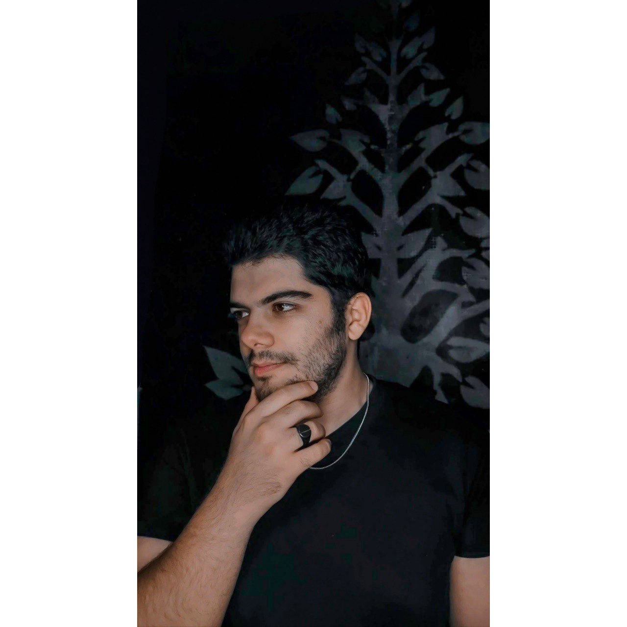 ehsan shohoudifar