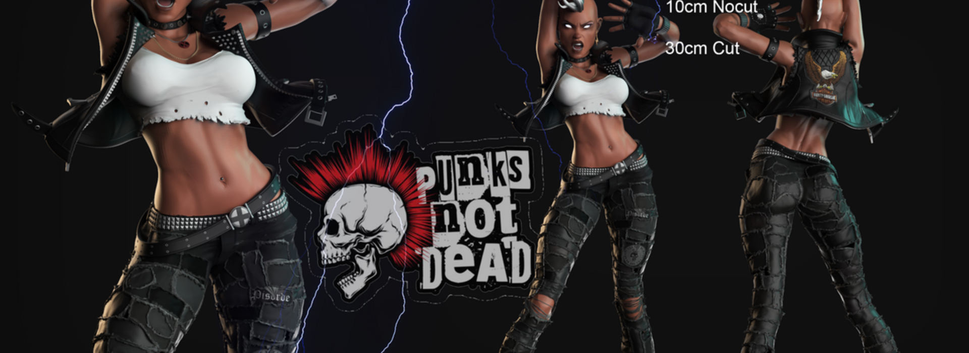 Product banner image