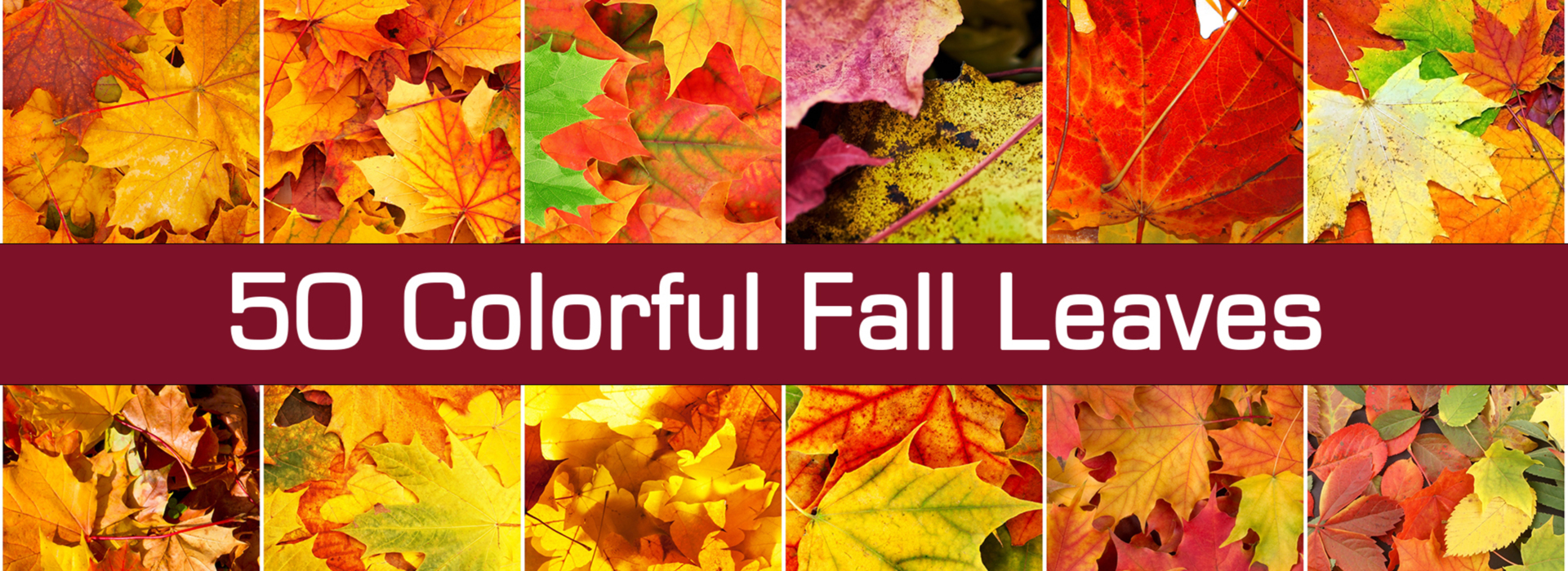 Product banner image