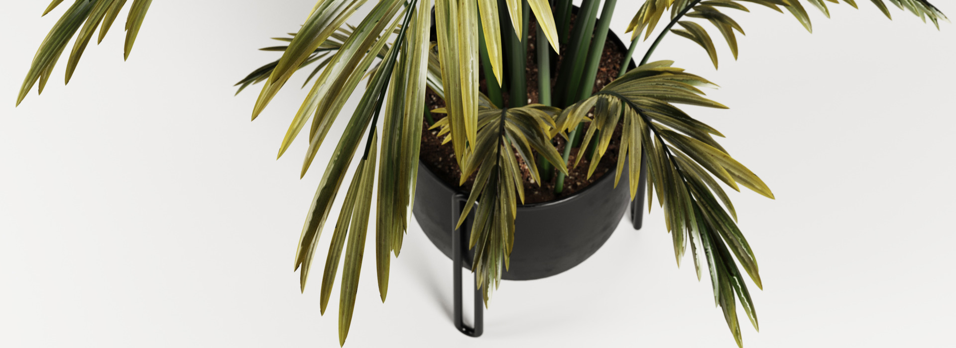 Product banner image