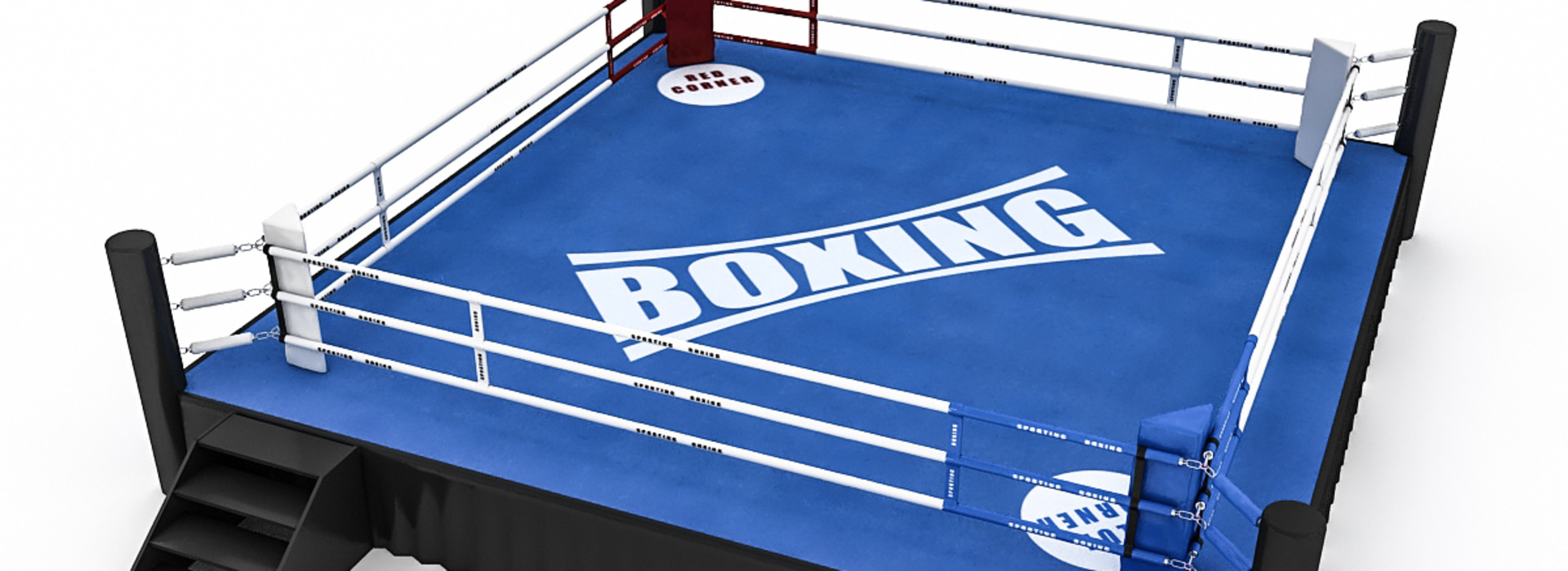 Product banner image