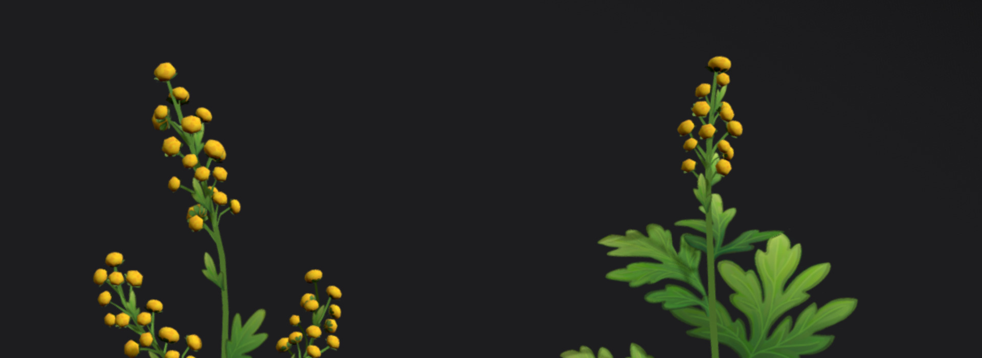 Product banner image