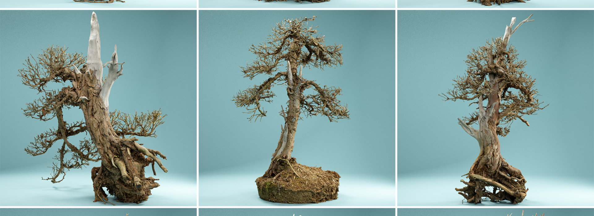 Product banner image