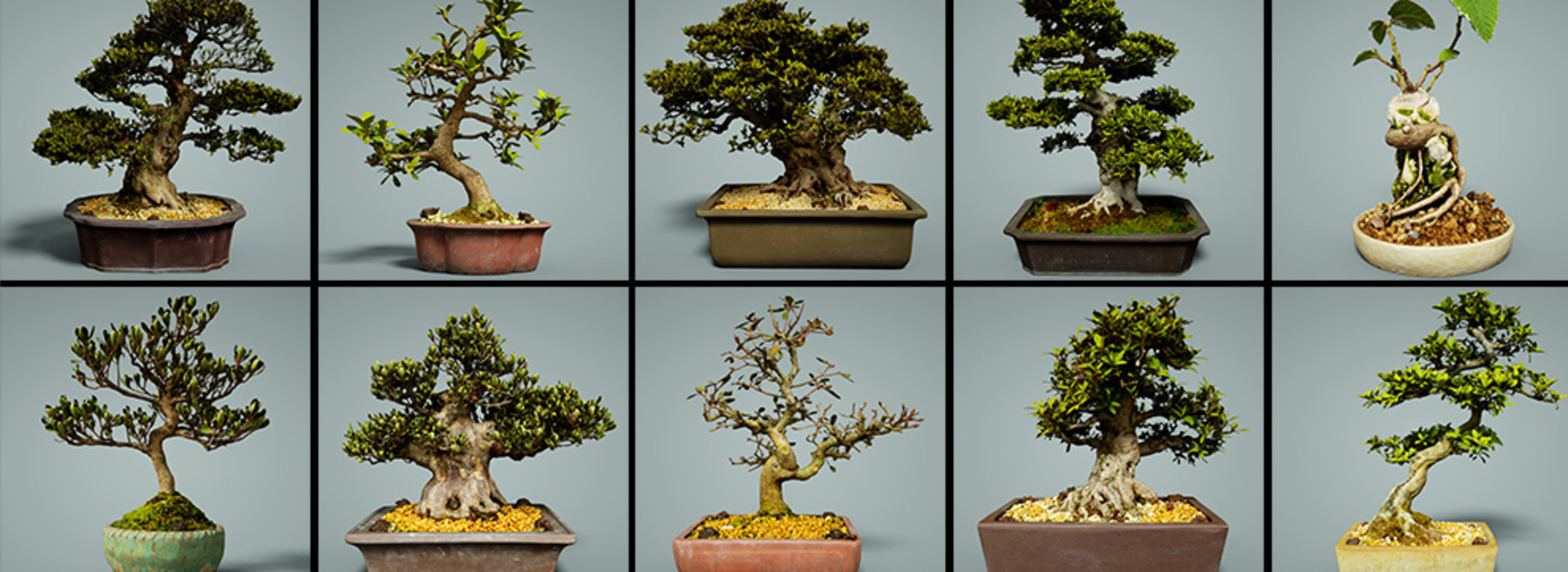 Product banner image