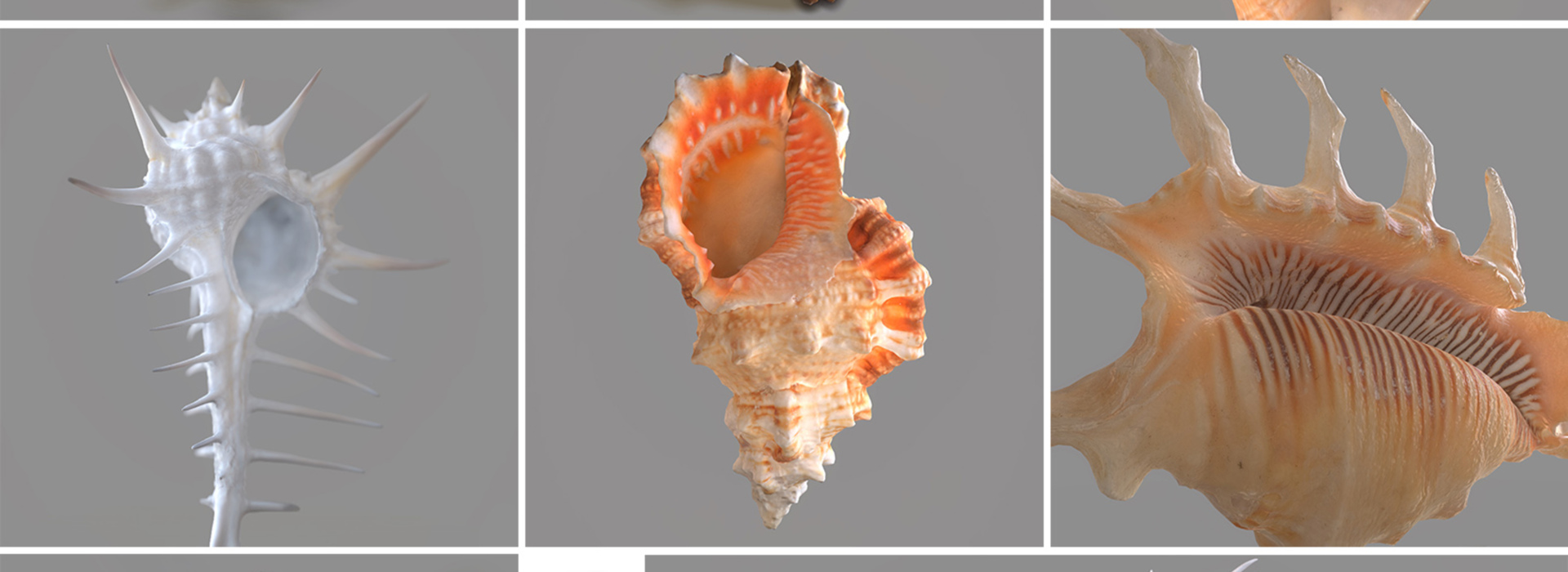 Product banner image