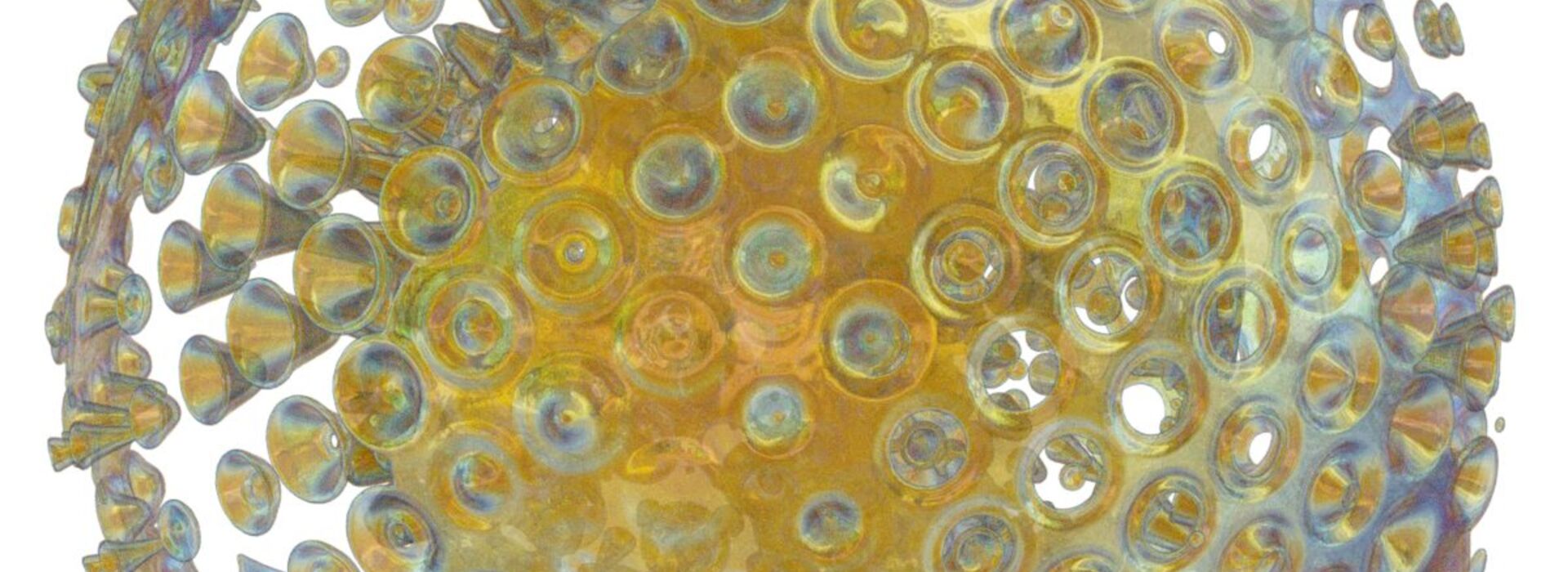 Product banner image