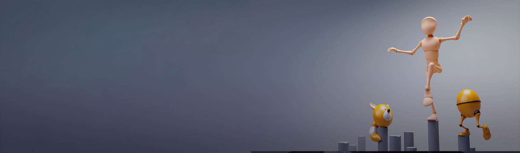 Product banner image