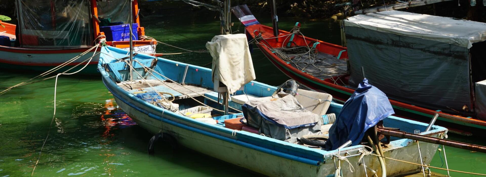 Product banner image