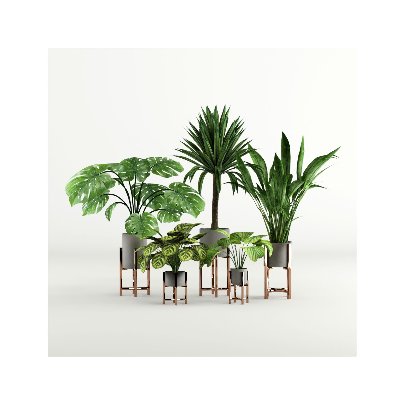 Product banner image