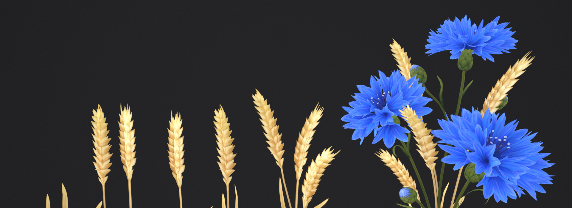 Product banner image