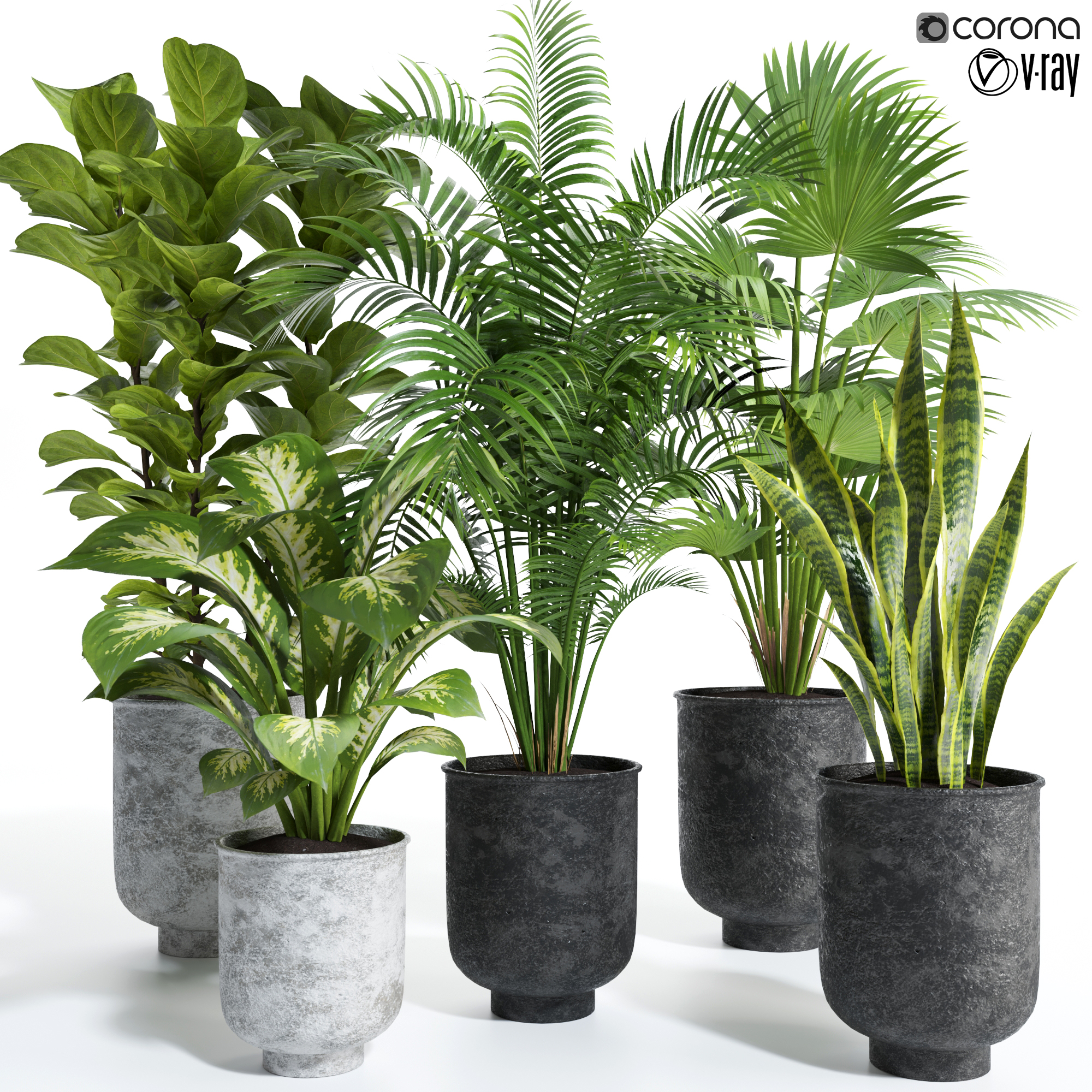 Product banner image
