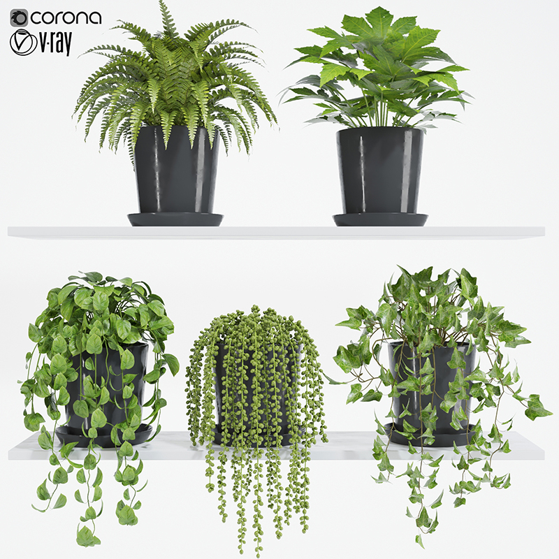 Product banner image