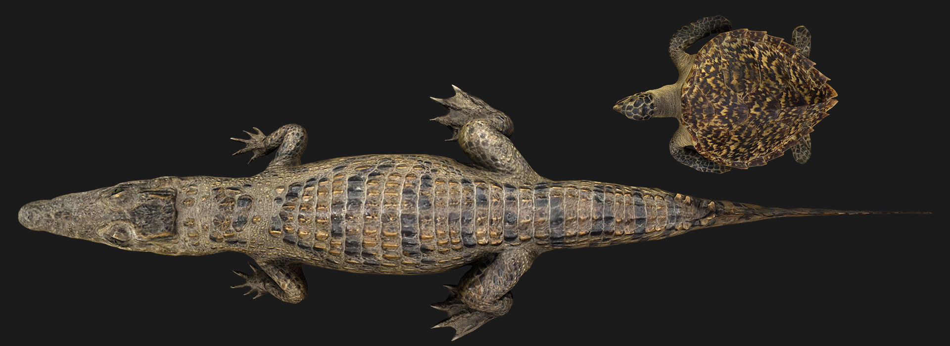 Product banner image