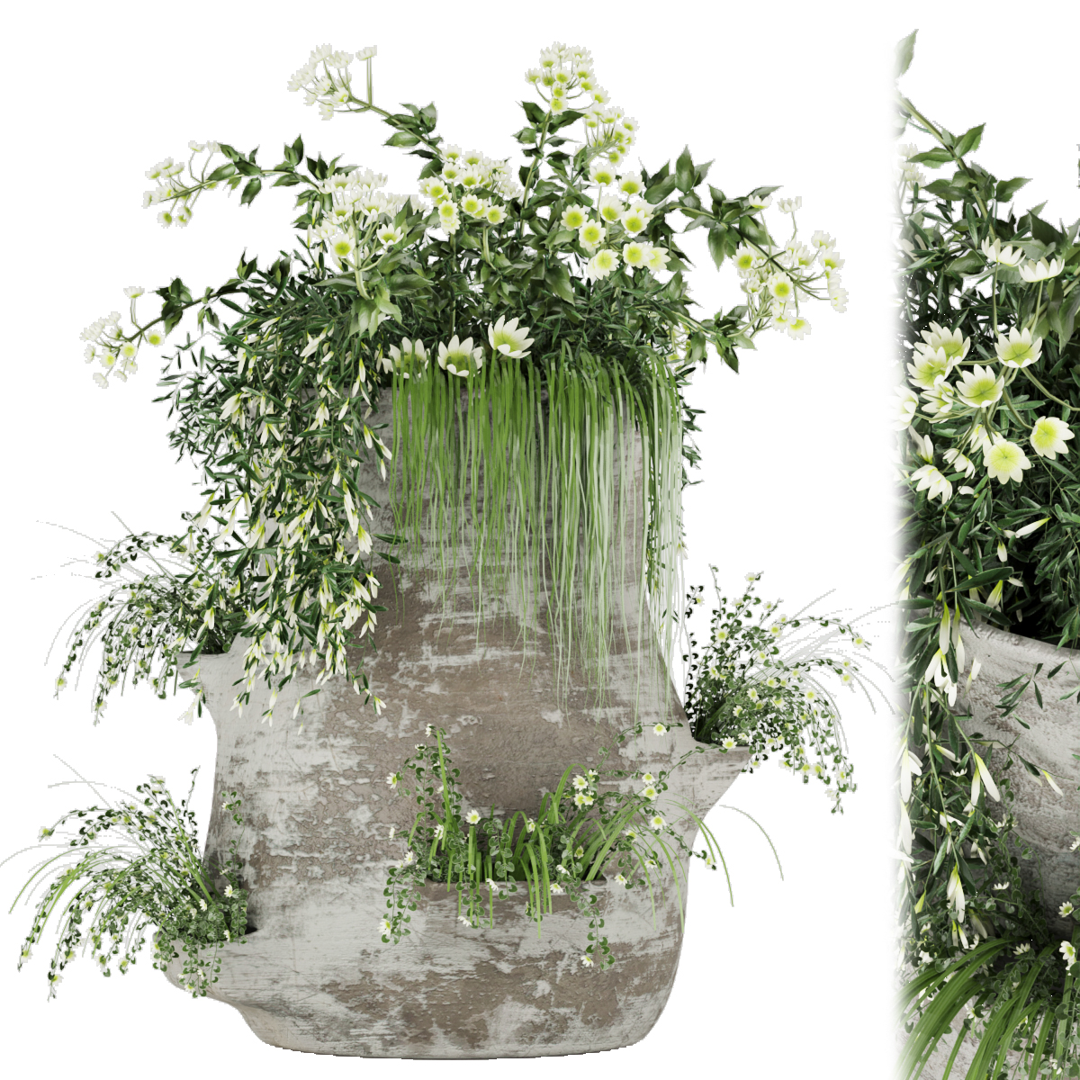 Product banner image