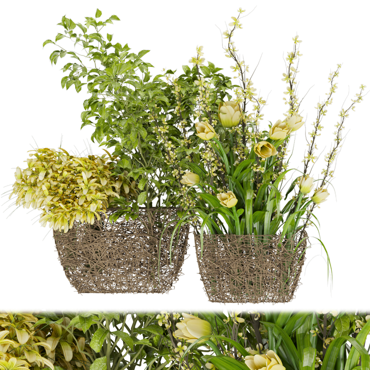Product banner image