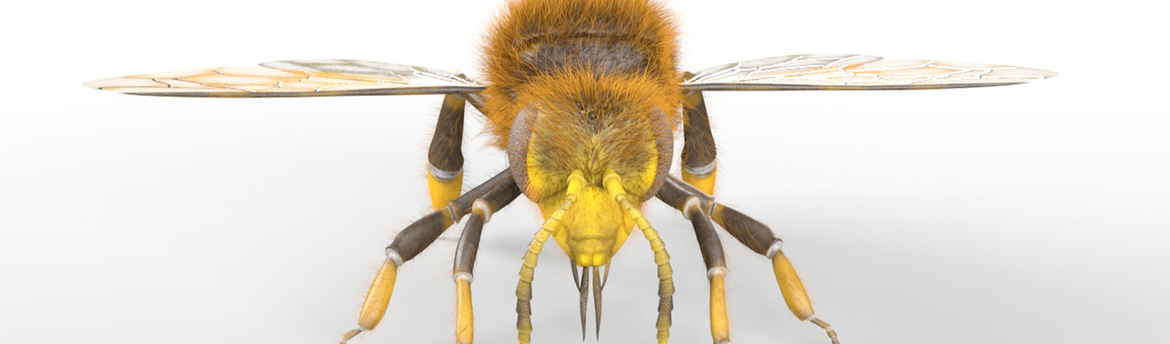 Product banner image