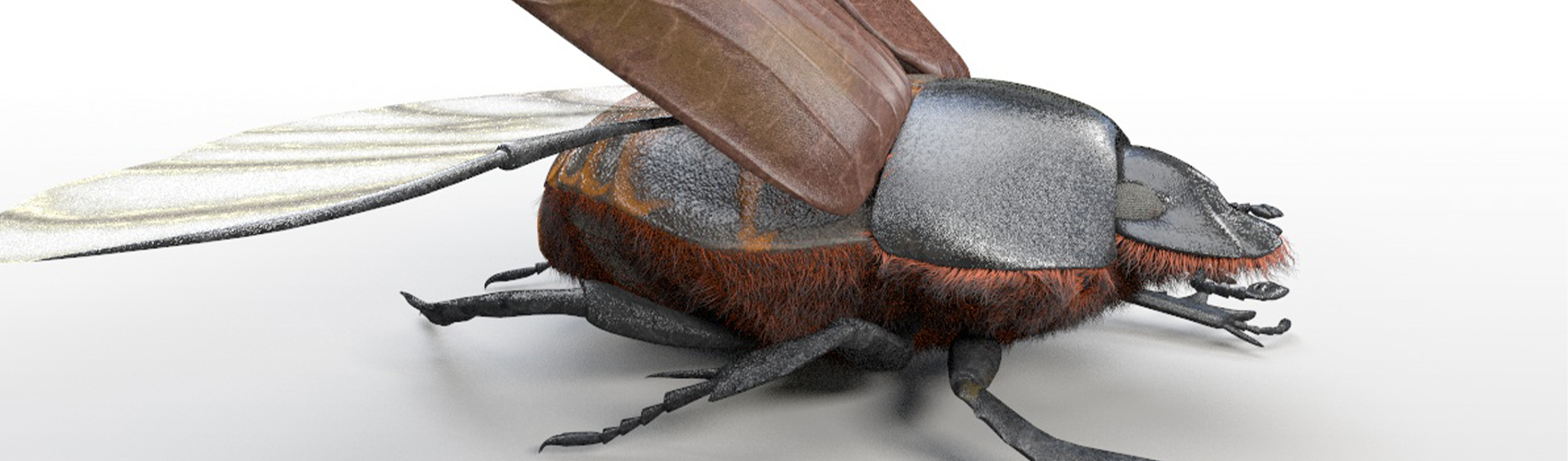 Product banner image