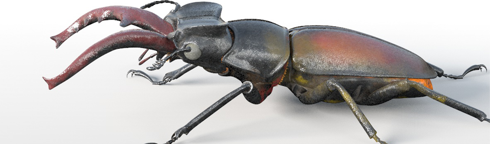 Product banner image