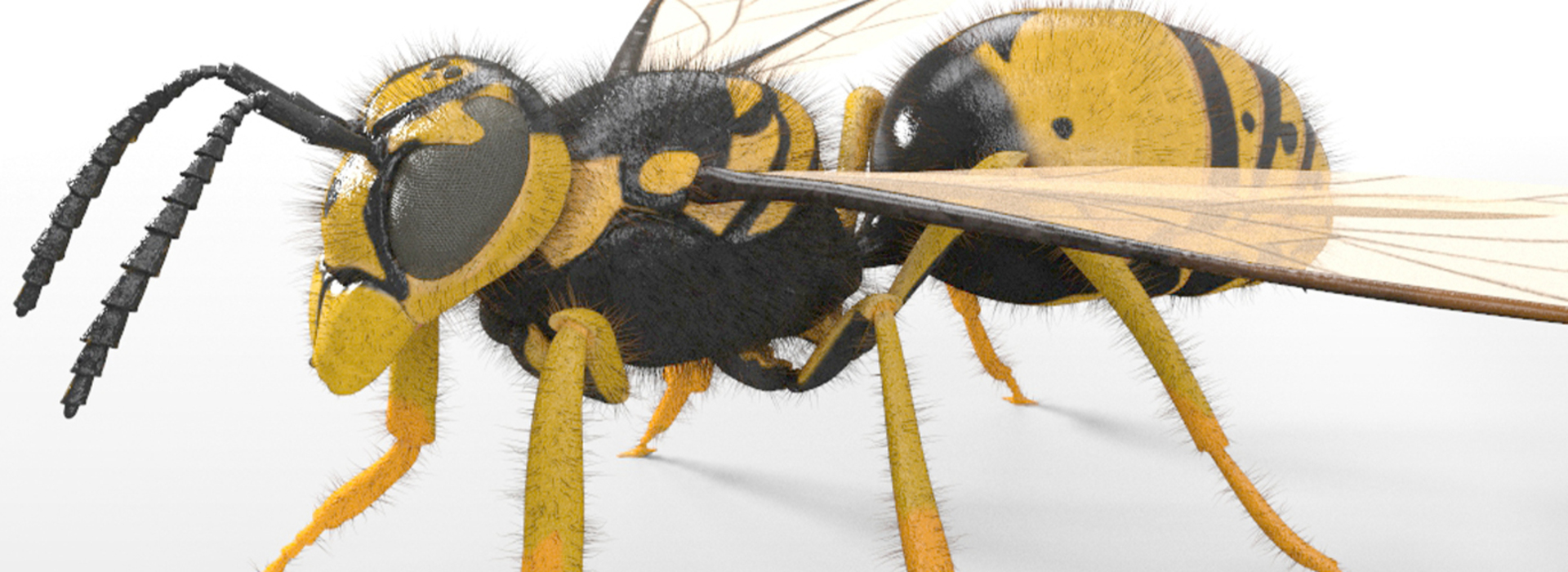 Product banner image