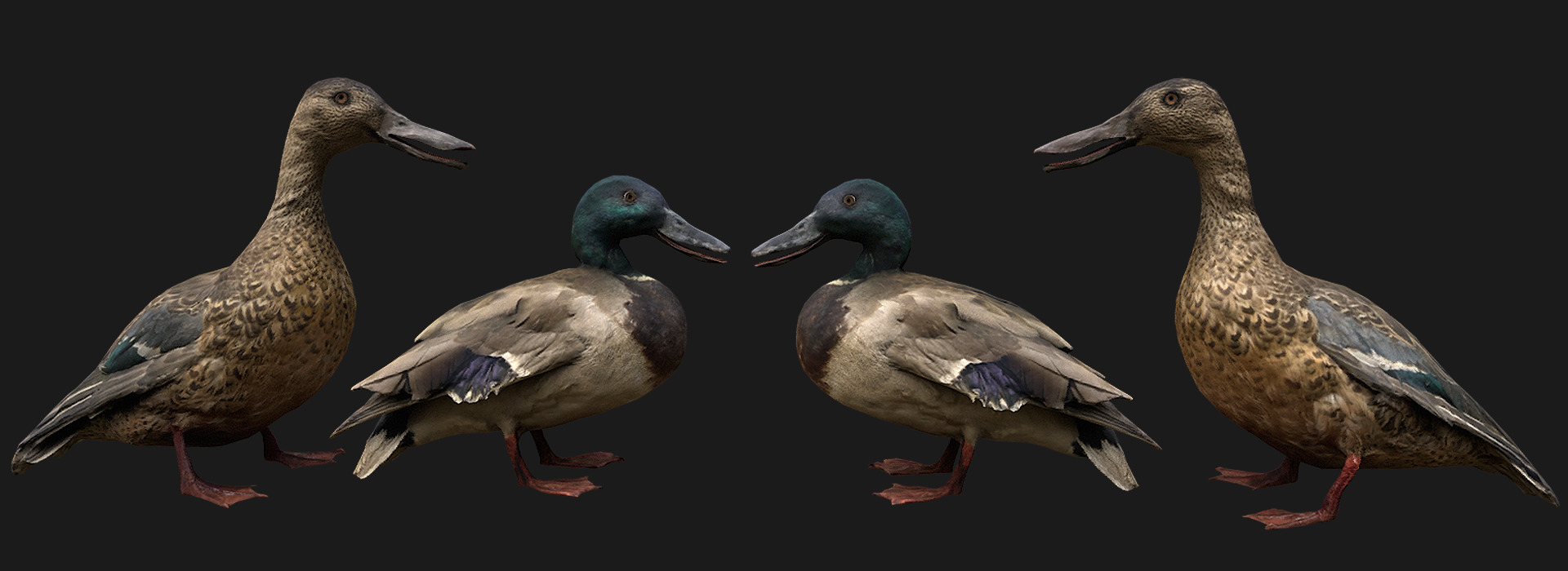 Product banner image