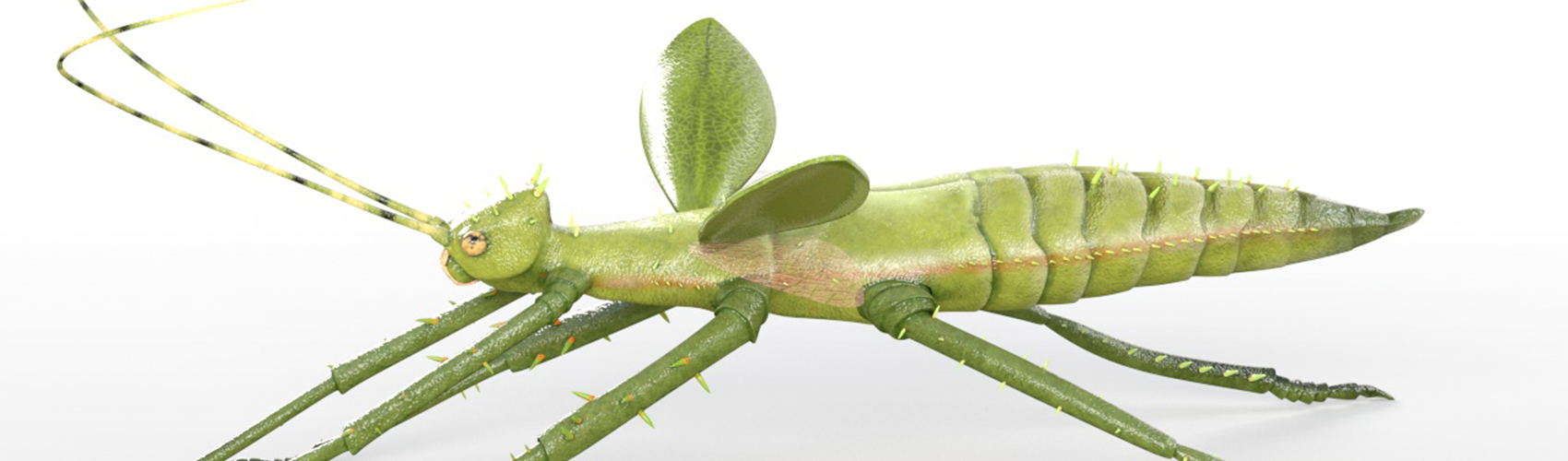 Product banner image