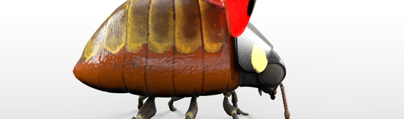 Product banner image