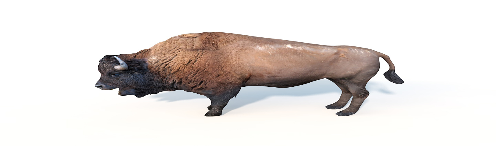 Product banner image