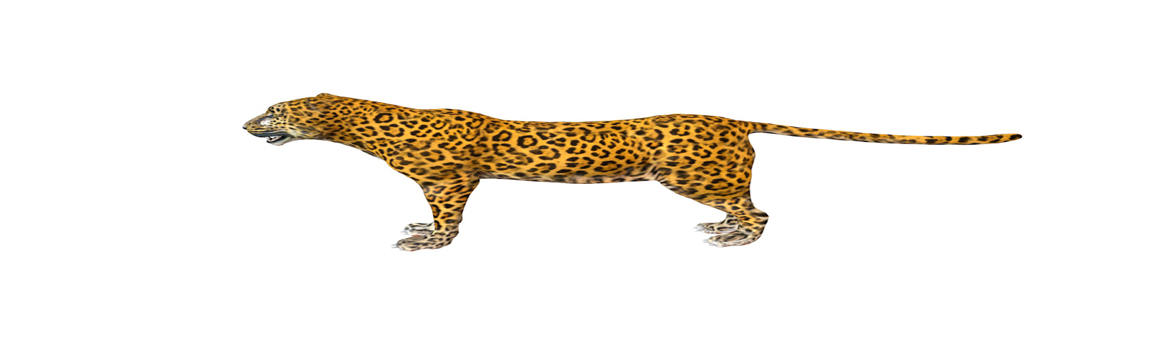 Product banner image