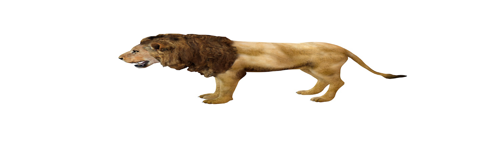 Product banner image