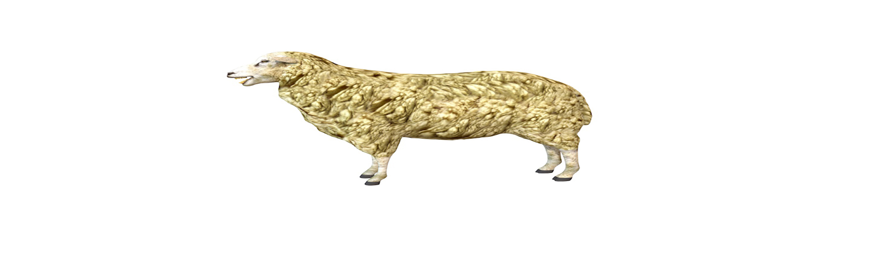 Product banner image