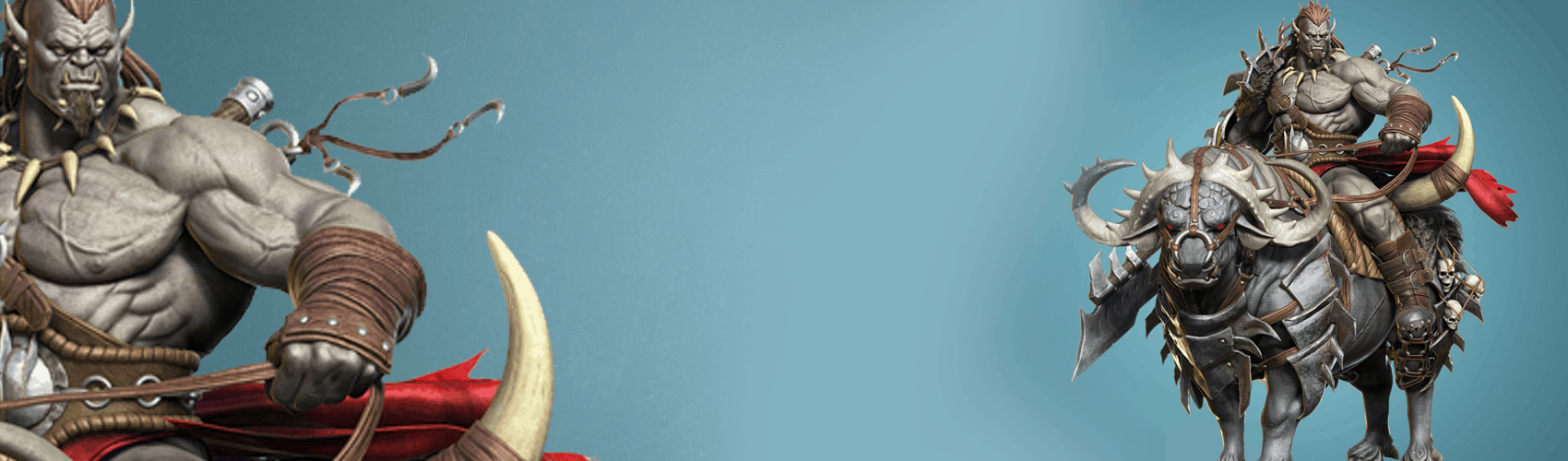Product banner image