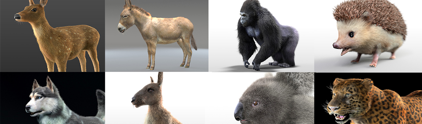 Product banner image