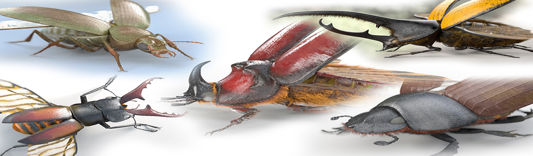 Product banner image