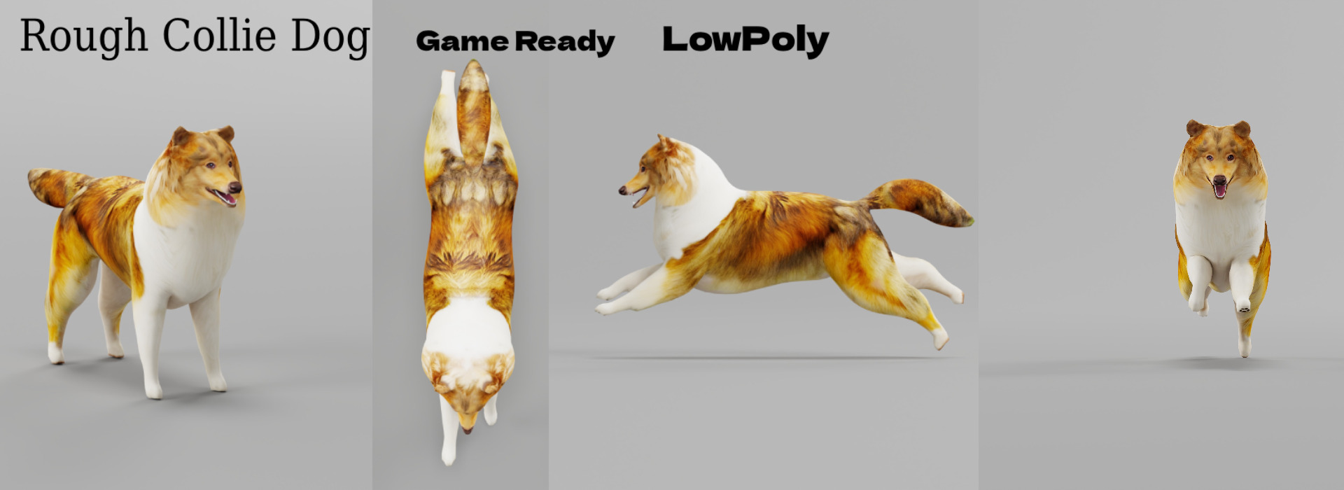 Product banner image
