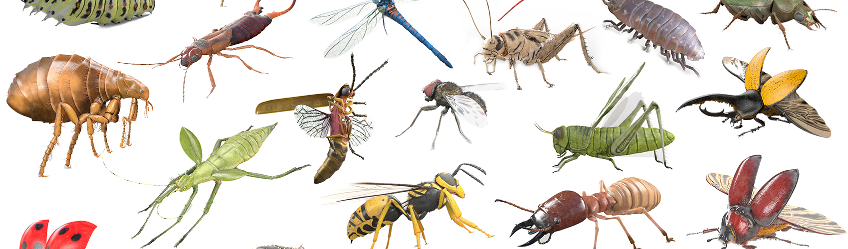 Product banner image