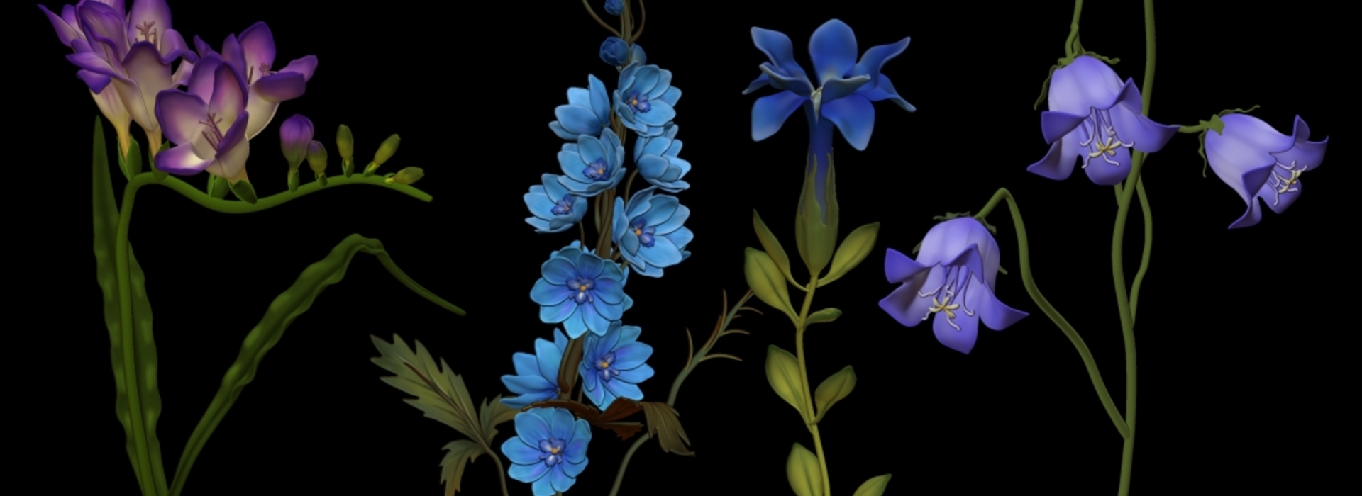 Product banner image