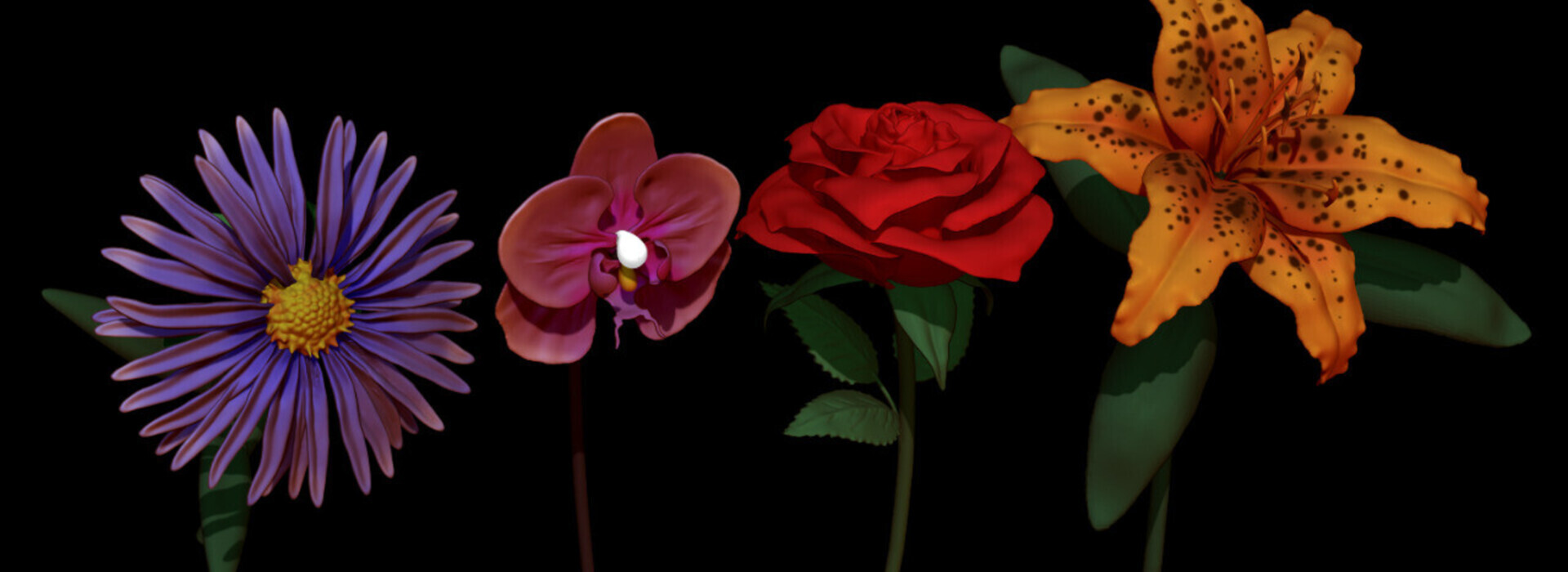 Product banner image