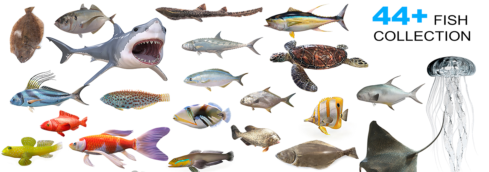 Product banner image