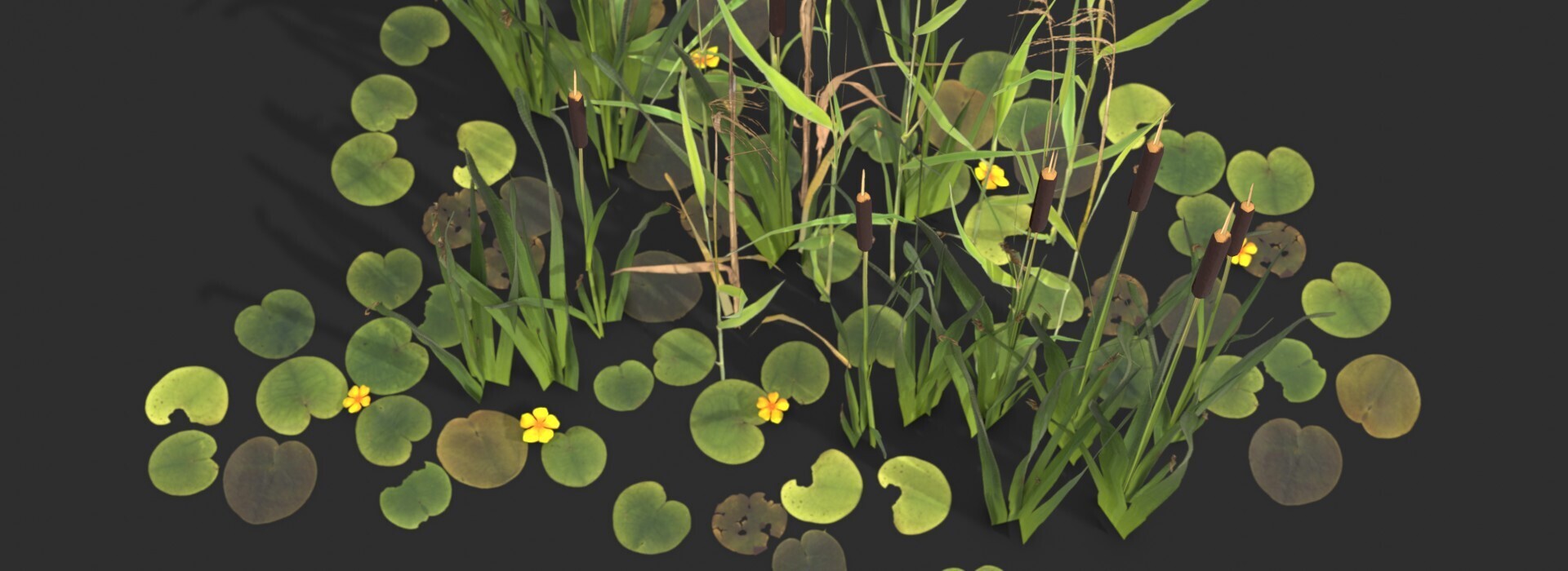 Product banner image