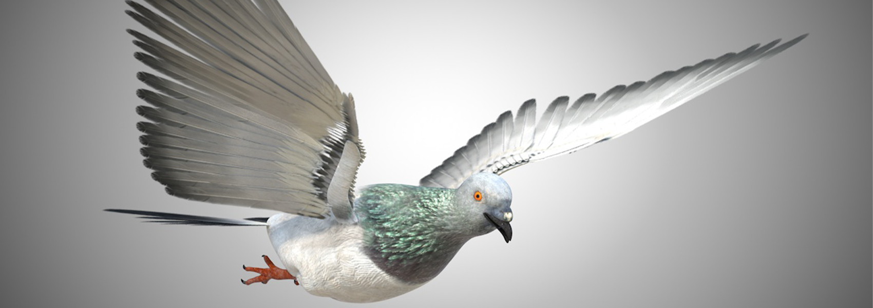 Product banner image