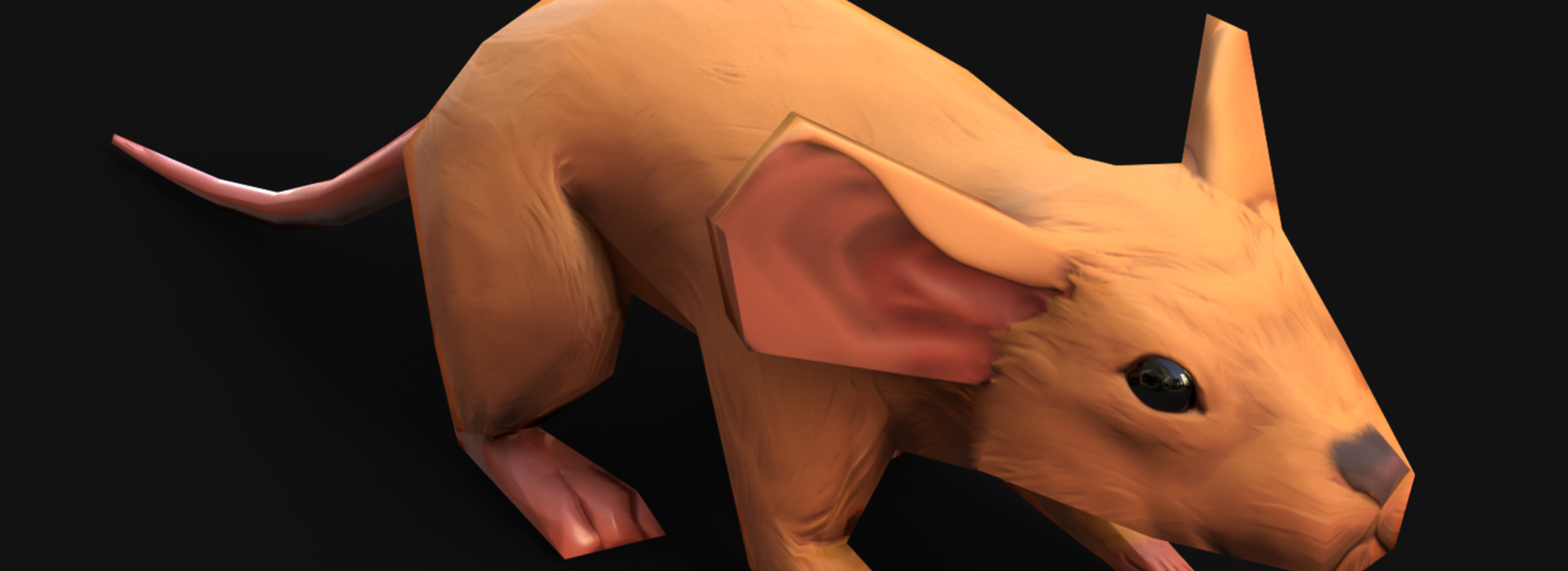 Product banner image